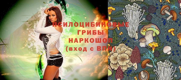 бутират Бородино