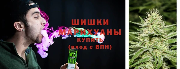 прущая мука Богородицк