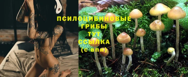 тгк Бугульма