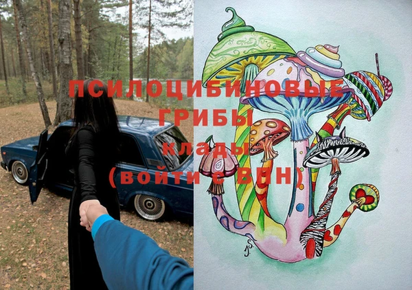 прущая мука Богородицк